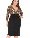Leopard Print Plus Size Dress