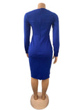 Deep V Neck Long Sleeve Plus Size Midi Dress