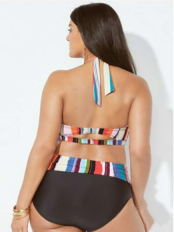 Sexy Striped Print Split Bikini XL-4XL
